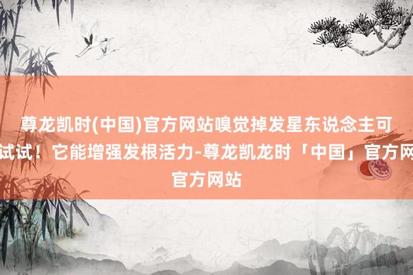尊龙凯时(中国)官方网站嗅觉掉发星东说念主可以试试！它能增强发根活力-尊龙凯龙时「中国」官方网站