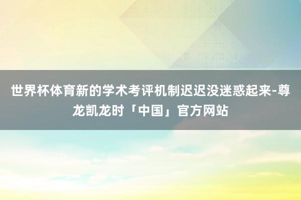 世界杯体育新的学术考评机制迟迟没迷惑起来-尊龙凯龙时「中国」官方网站